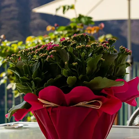 Apartamento Romantic - Nesso