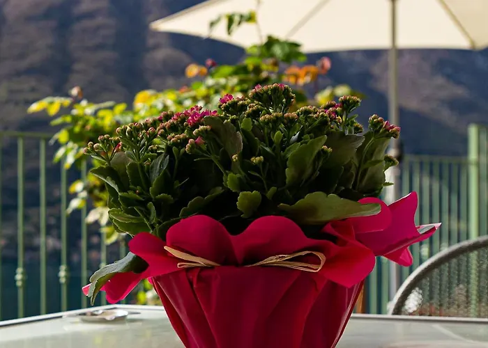 Apartment Romantic - Nesso